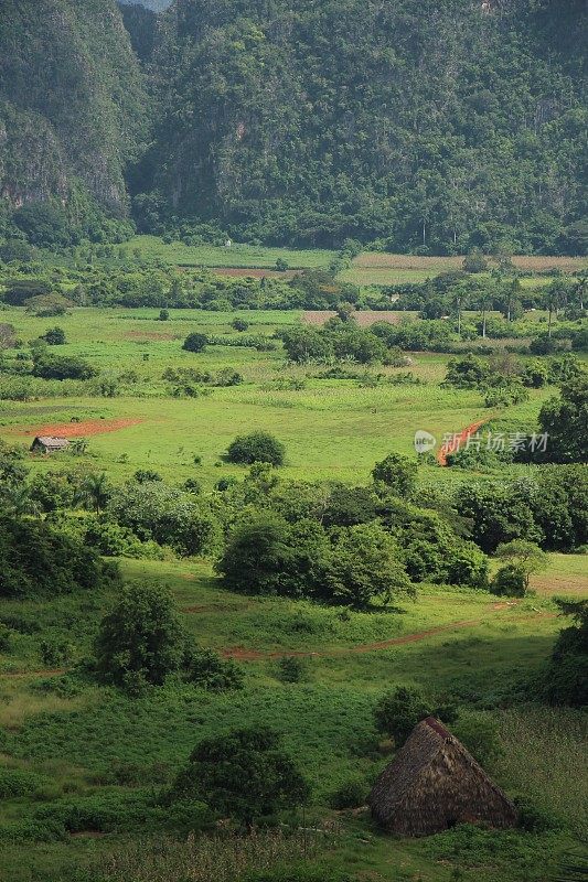 Cuba - Viñales Valley - landscape